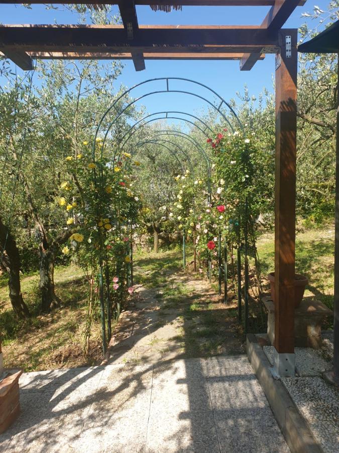 Casa Vacanze L'Oliveta Siena Exteriér fotografie