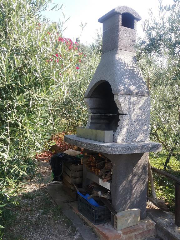 Casa Vacanze L'Oliveta Siena Exteriér fotografie