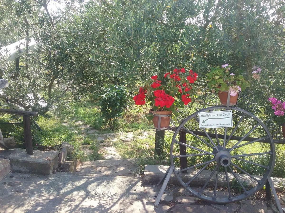 Casa Vacanze L'Oliveta Siena Exteriér fotografie