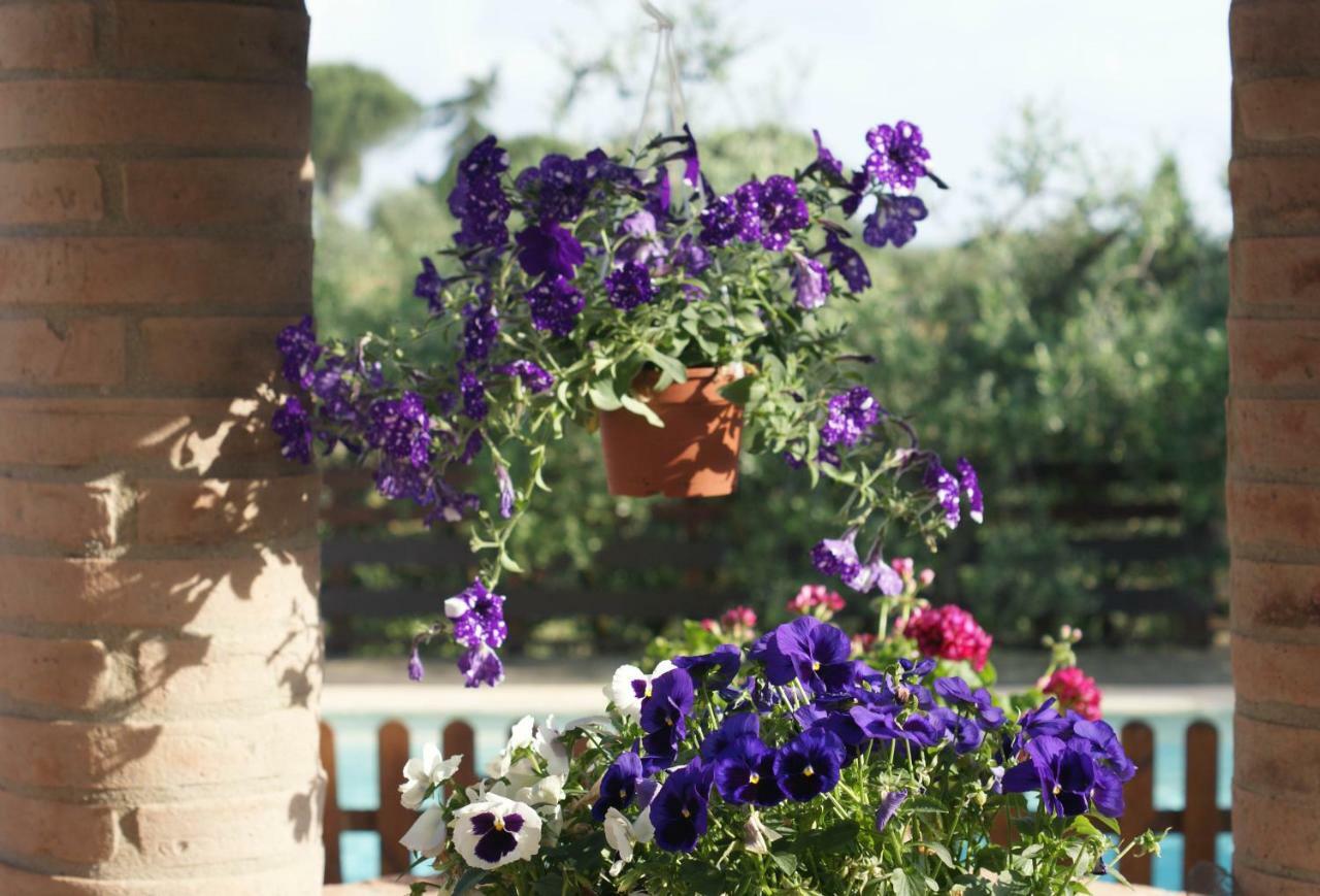 Casa Vacanze L'Oliveta Siena Exteriér fotografie